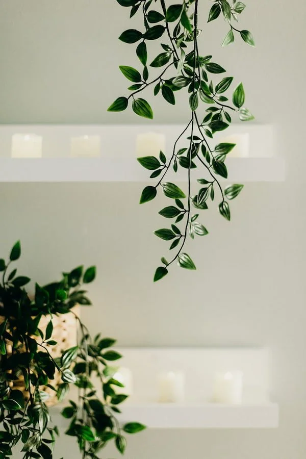 RE:SET Melt Therapy＆Auto Update Therapy Shopify_Product_images_1080_x_